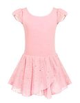 Arshiner Girls Ruffle Sleeve Skirted Leotard Ballet Dance Dresses