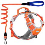 ThinkPet No Pull Harness Breathable Sport Harness with Handle-Dog Harnesses Reflective Adjustable for Medium Large Dogs,Back/Front Clip for Easy Control Orange Harness Leash Set S