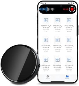 Mini Voice