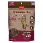 Cloud Star Dynamo Dog Tummy Digestion Support Soft Chew Treats - Pumpkin & Ginger - Grain Free - 14 Oz