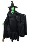 Ladies Wicked Witch Halloween Costume - UK 22/24 / XXX-Large - Black Dress + Hooded Velour Cape + Witch's Hat + Green Facepaint - Fancy Dress Party Book Movie Themed