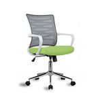 Finch Fox Fire Low Back Royal Ergonomic Desk Office Mesh Chair in Grey and Parrot Green Mesh Seat Color