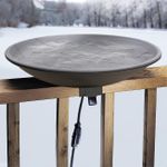 Wild Bird Lover's Heated Bird Bath 