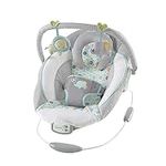 Ingenuity Soothing Baby Bouncer Inf