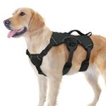Rabbitgoo DTLGBD01LBK18CW Dog Harness, Large (19"-38"), Black