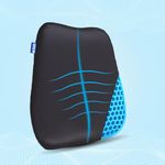 The Sleep Company SmartGRID Ortho Pro Back Cushion | Back Pain Relief | Office Chair & Car Seat Support | Lumbar Support Back Rest | Supports Spinal Alignment & Posture | 600+ Cooling Channels | Black