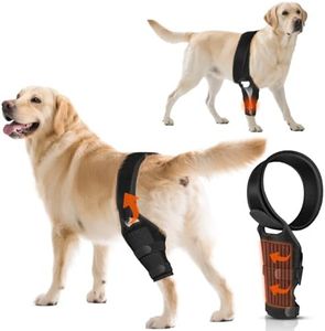 OJLUOJ Dog