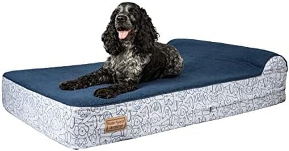 Harry Bark