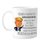 SteadStyle Funny Mug for Grandpa- Y