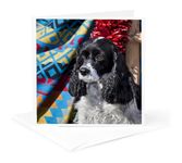 3dRose gc_145325_5 6 x 6-Inch "Cocker Spaniel Dog On Southwestern Blanket - Us32 Zmu0075 - Zandria Muench Beraldo" - Greeting Card