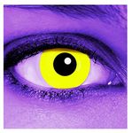 Affaires Yellow Out Crazy Lens (Yearly Disposable) Contact Lenses YellowOut Crazy Lenses (2 Lens Pack)