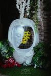 EXPLEASIA Water Curtain Buddha Water Fountain |Water Fountain for Home Decor| Home & Garden Decor Fountain with Maintenance Kit (Crystal White)