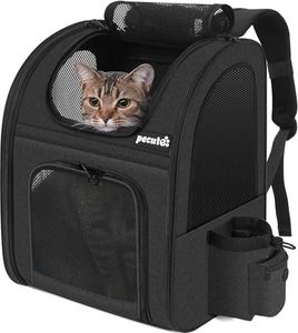 pecute Cat