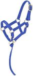 Tough 1 Tough-1 Miniature Nylon Halter, Royal Blue, Small Mini.