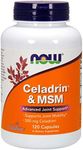 Celadrin® and MSM 500mg 120 Capsule