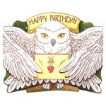 American Greetings Pop Up Harry Potter Birthday Card (Filled with Magic!)