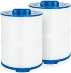 Future Way Hot Tub Filter Replacement for Artesian Spas 50, Tidal Fit Swim 06-0006-12, Replace Pleatco PAS50SV-F2M, Unicel 6CH-502, Filbur FC-0311, Master Deluxe M60506, Spa Filter, 50 Sq. Ft, 2 Pack