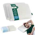 The White Willow Pillow Set of 2 Cooling Gel Orthopedic Memory Foam Queen Size Neck & Back Support Bed Pillow for Sleeping with Removable Zipper Cover (24" L x 16" W x 4" H Inches) -Multi