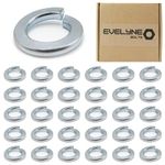 M10 (10mm) Spring Washer Set - Steel - Evelyne (Pack of 30)