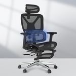 FLEXISPOT ErgoX Premium Ergonomic O