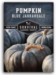 Blue Jarrahdale Pumpkin Seeds for Planting - 1 Packet with Instructions to Plant & Grow Decorative and Flavorful Blue Pumpkins in Your Home Garden - Non-GMO Heirloom Variety - Survival Garden Seeds