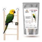 WiggleBoo 22cm Natural Wooden 4 Step Ladder Bird Toy | Climbing, Exercise & Fun | for Small & Medium Birds