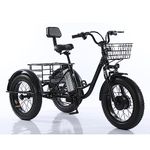 Motorized Tricycle For Adults