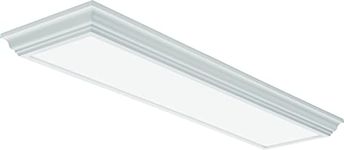 Lithonia Lighting FMFL 30840 CAML WH LED Linear Light, White, 4' by Lithonia Lighting