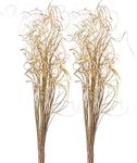 Royal Imports Sparkle Glitter Curly Ting Ting Branches Vase Filler for Wedding, Holiday & Home Decoration, 26”, 75 Stems (Gold)