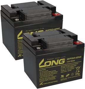 2X AGM 12V
