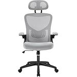 Yaheetech Office Chair Mesh Computer Chair with Adjustable Headrest and Lumbar Support Desk Chair Modern Ergonomic Office Chair With 90� Flip-up Armrest for Home Conference Office, Light Grey