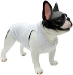 Lovelonglong 2019 Summer Pet Clothi