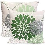Sage green Decorative Throw Pillow 