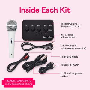 Lucky Voice Bluetooth Karaoke Machine – Gold