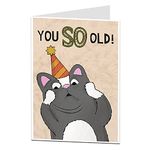 Funny Cat Birthday Card You So Old