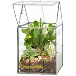 Deco Glass Geometric DIY Terrarium for Succulent & Air Plant- Hinged Roof Shaped for Indoor Gardening Decor- Create Your own Flower, Fern, Moss Centerpiece- Amazing Holiday and Wedding Gift