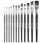 AIEX 12Pcs Paint Brushes, Anti-Shedding Nylon Hair Flat Shader Tip Artist Paintbrushes for Watercolor Acrylic Ink Gouache Oil and Tempera Painting