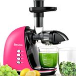 Slow Masticating Juicer,Brecious Co