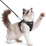 rabbitgoo Cat Harness and Lead Set, Escape Proof Kitten Harness with 3 Adjustable Buckles, Soft Comfortable Cat Vest with Leash, Easy to Wear, Reflective for Safe Outdoor Walking, Medium, Black