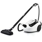 Dupray ONE Steam Cleaner- All-Purpose, Portable, Disinfecting, Chemical-Free Floor Steamer & Tile Cleaner Made in Europe for Home and Professional Use