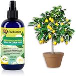 Gardenera Premium Nutritional Plant Food Spray for Citron - Balanced Nutrition Plant Superfood | Excellent Growth Booster for Citron Trees - 8oz