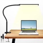 Desk Lamp, LED Desk Lamps for Home 