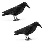 Navaris Crow Statues (Pack of 2) - Fake Black Crow Figure - Crows Bird Figures to Stand or Hang as Halloween Birds Decoration - Yard, Garden, Deck, Patio