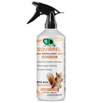 DD Teck 100% Natural Squirrel Repellent Spray - Long-Lasting Protection for Gardens, Lofts & Bird Feeders, Discourage Nesting, Protect Wiring, Prevents Chewing on Outdoor Furniture (500ml Spray)