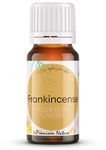 THE PREMIUM NATURE USDA Organic FRANKINCENSE Essential Oil - Boswellia carterii, 100% Pure Natural Undiluted, Therapeutic Grade for Aromatherapy | Premium Certified Organic, Non-GMO (10 ML)
