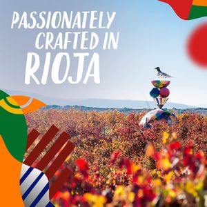 Campo Viejo Tempranillo Rioja Red Wine, 75cl Bottle