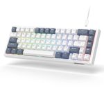 Womier VK66 60% Percent Keyboard with Hot Swappable, Wired Mechanical Gaming Keyboard with POM Linear Switches, LED Custom Creamy Keyboard Gasket Mounted, PBT Keycaps for Mac/Win, White