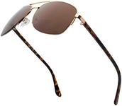 VITENZI Bifocal Sunglasses for Men and Women Square Aviator Reading Sun Tinted Glasses with Readers - Anzio in Gold 1.50