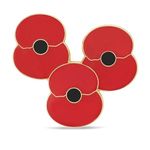 Royal British Legion Poppy Trio Badge