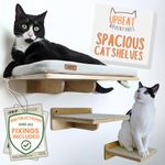 Cat Wall Shelf Bed with Two Steps | Wall Mounted Modern Cushioned Cat Shelves and Perches Set | Cat or Kitten Condo Furniture | Wall Playground for Sleeping, Playing, Climbing, and Lounging